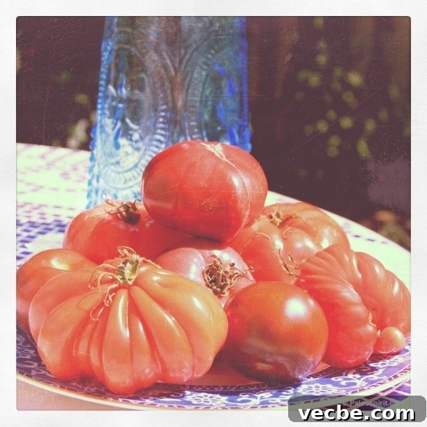 Daily Beauty Tips and Trends August 25 2011 2 Homegrown tomato inspiration