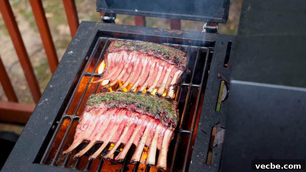 Smoked Lamb Chops Recipe with Garlic and Rosemary 8 Two racks of lamb searing on grill.