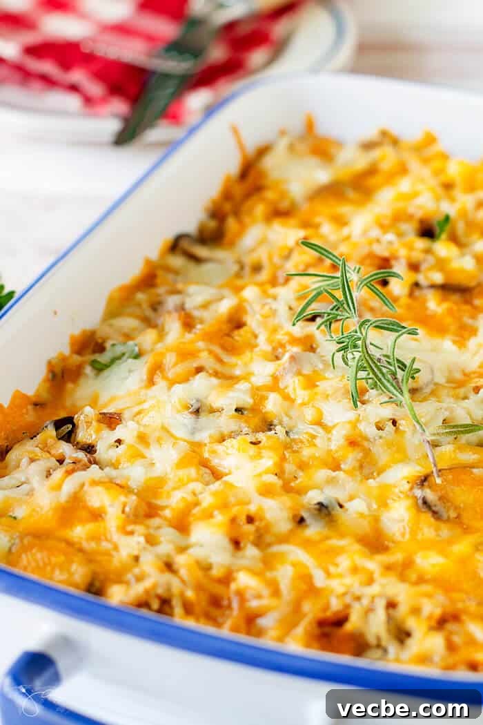 Cheesy Leftover Turkey Casserole Recipe 3 An angle shot of the freshly baked cheesy casserole