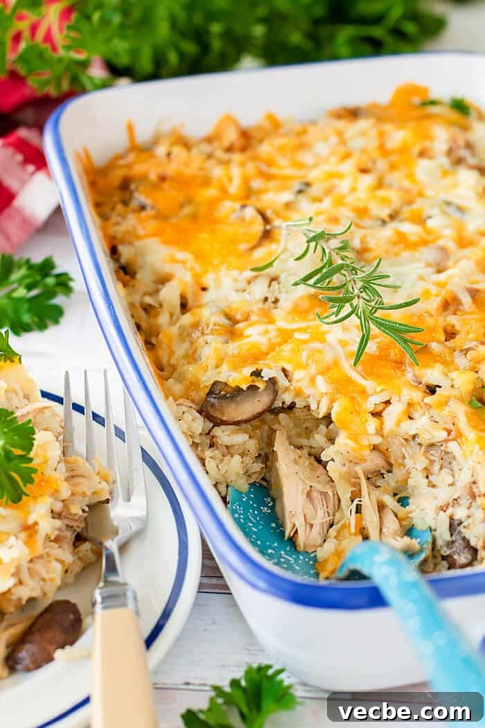 Cheesy Leftover Turkey Casserole Recipe 5 A white casserole dish with cheesy rice and turkey meat with a serving spoon