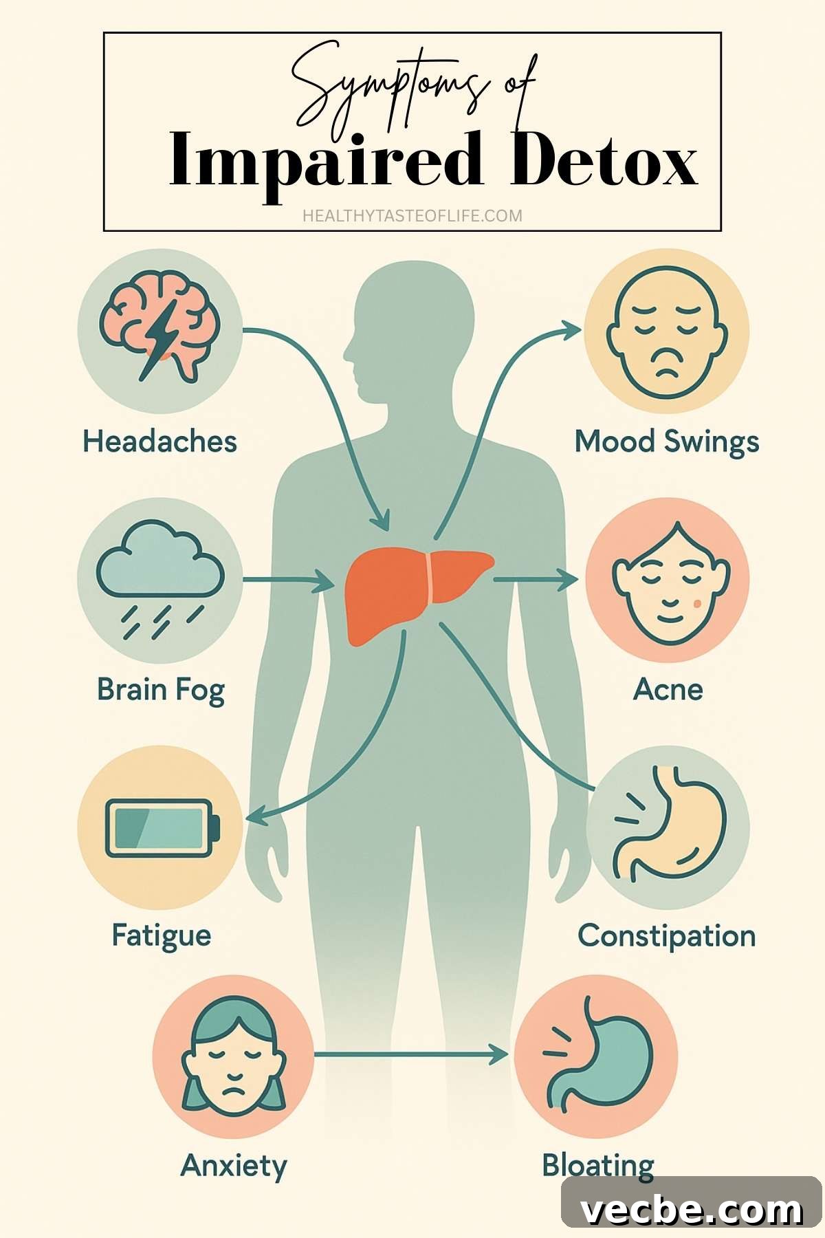 Hidden Detox Symptoms: Is Your Body Struggling to Detox? PDF Plan 4 Infographic showing symptoms of impaired detox system: a human silhouette with orange liver at center; arrows point from liver to icons labeled headaches, brain fog, fatigue, anxiety, mood swings, acne, constipation, and bloating.