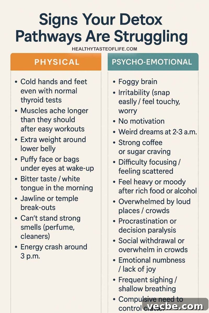 Hidden Detox Symptoms: Is Your Body Struggling to Detox? PDF Plan 5 Inphographic showing a list of symptoms when detox pathways are struggling: both physical and psycho-emotional signals.