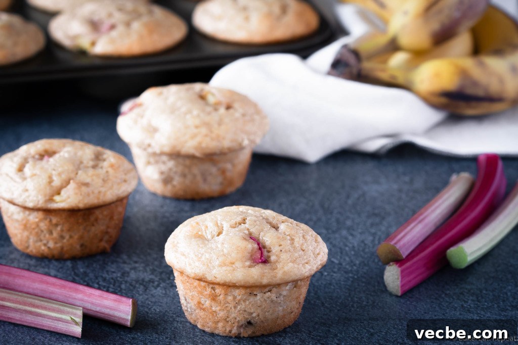 Banana Rhubarb Muffins with a Tender Crumb 2 banana rhubarb muffins