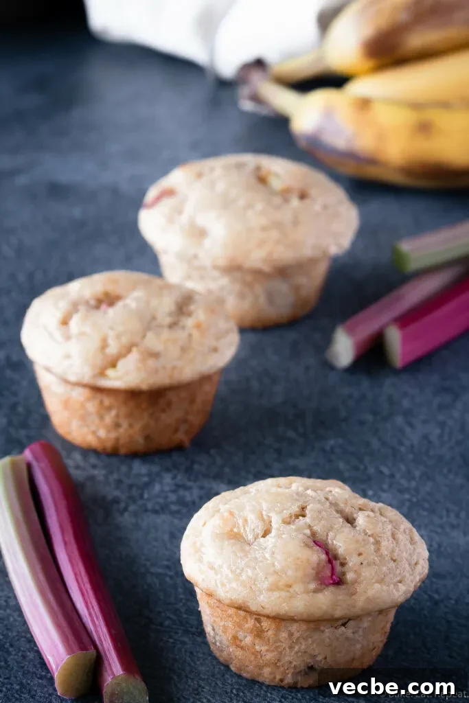 Banana Rhubarb Muffins with a Tender Crumb 6 banana rhubarb muffins