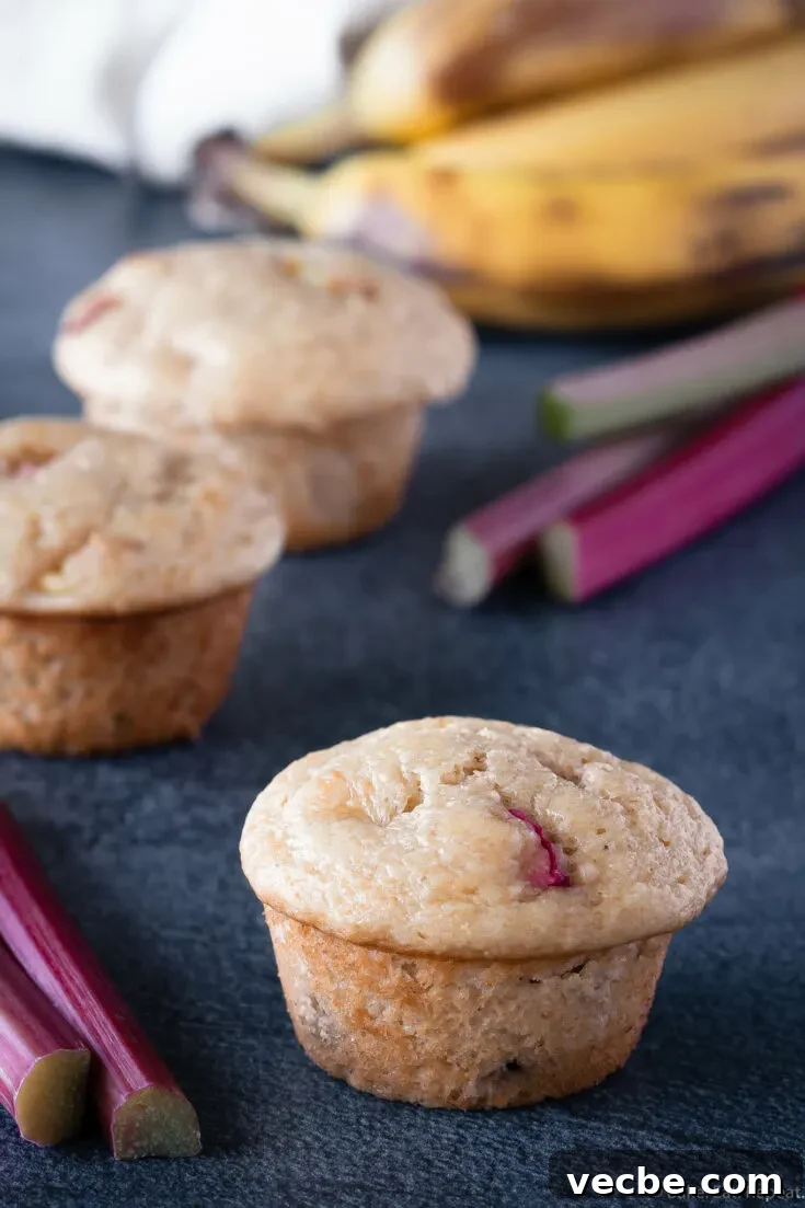 banana rhubarb muffins