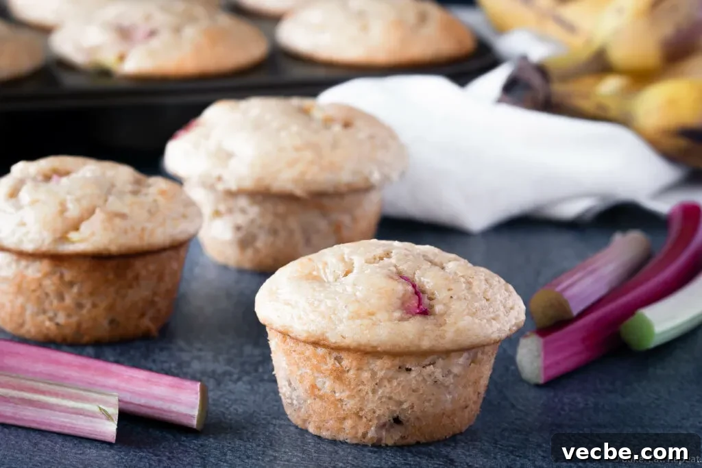 Banana Rhubarb Muffins with a Tender Crumb 4 banana rhubarb muffins