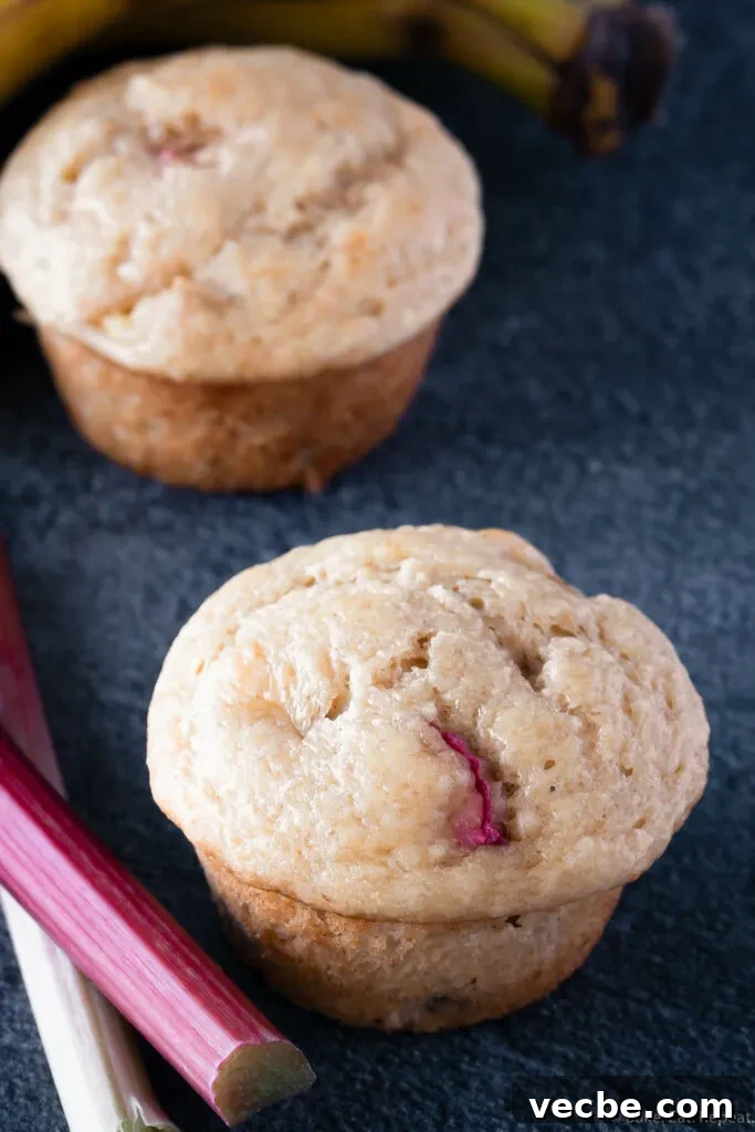 Banana Rhubarb Muffins with a Tender Crumb 5 banana rhubarb muffins