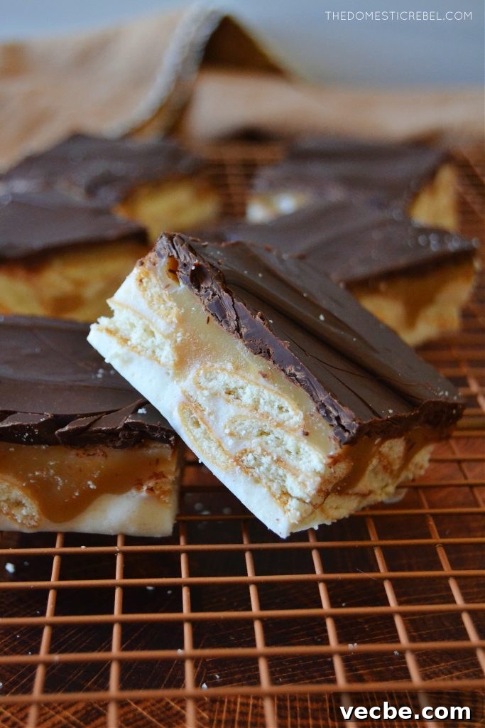 No-Bake Marshmallow Twix Bars Recipe 3 an arrangement of twix marshmallow bars on a wire rack