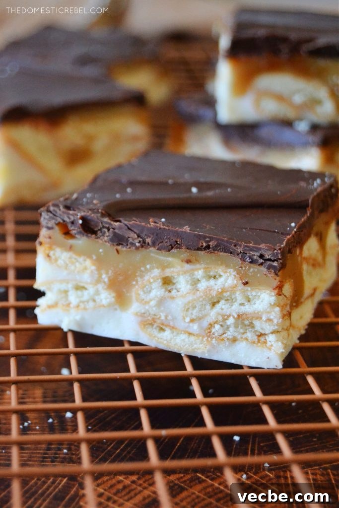 No-Bake Marshmallow Twix Bars Recipe 6 a closeup of a marshmallow no-bake twix bar on a gold wire rack
