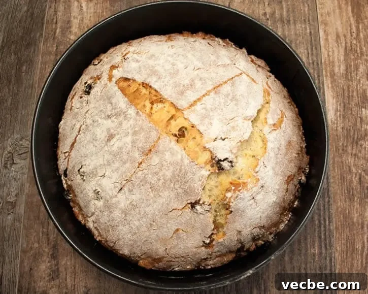 Traditional Irish Soda Bread Recipe 7 Golden raisins in Irish soda bread
