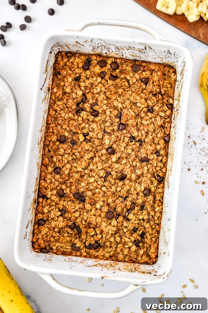 Chocolate Chip Banana Bread Baked Oatmeal Recipe 7 fresh baked chocolate chip banana bread baked oatmeal in a white casserole dish.