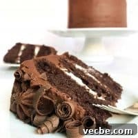 Moist and Decadent Chocolate Cake Recipe 8 slice of perfect chocolate cake with cake in background
