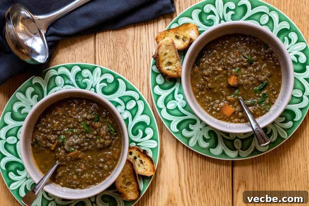 16 French Dinner Recipes Ready in Under 45 Minutes 13 French Lentil Soup