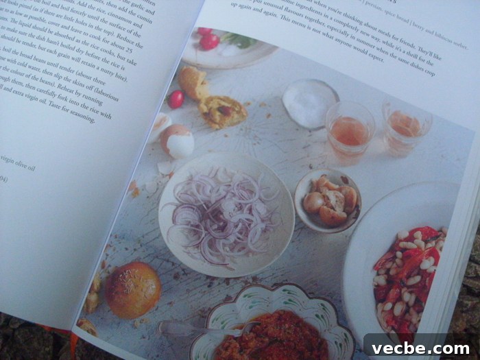 Diana Henry's A Change of Appetite: Cookbook Review 3 A Change of Appetite - page spread