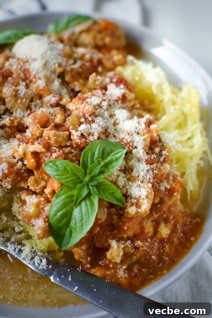 Chicken Ragu with Spaghetti Squash Nests Recipe 2 Chicken Ragu over Spaghetti Squash Nests on a plate ready to eat.