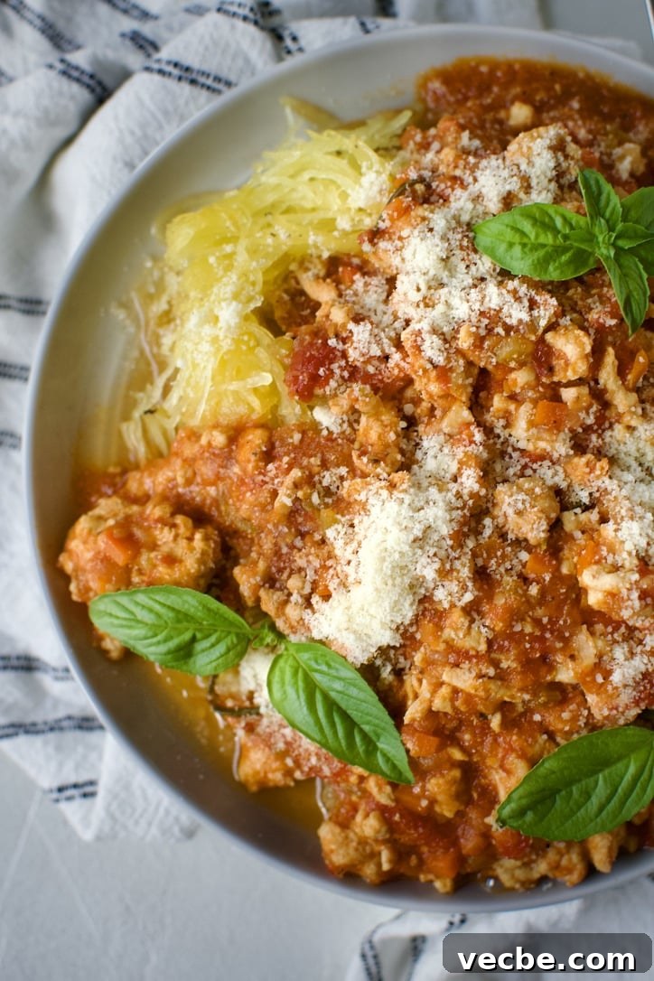 Chicken Ragu with Spaghetti Squash Nests Recipe 9 Chicken Ragu over Spaghetti Squash Nests on a plate ready to eat.