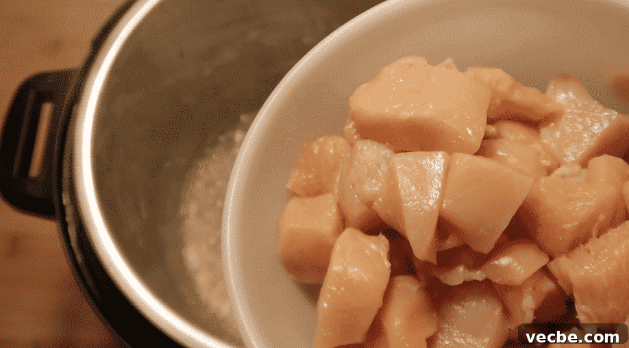 Instant Pot Lemon Chicken Pasta with Creamy Sauce 15 img 24256 14