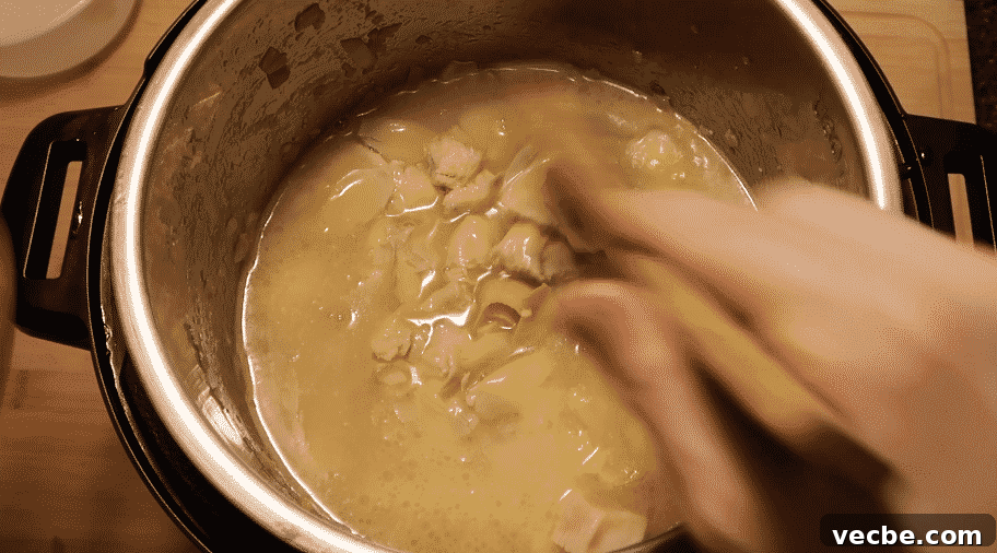 Instant Pot Lemon Chicken Pasta with Creamy Sauce 22 img 24256 21
