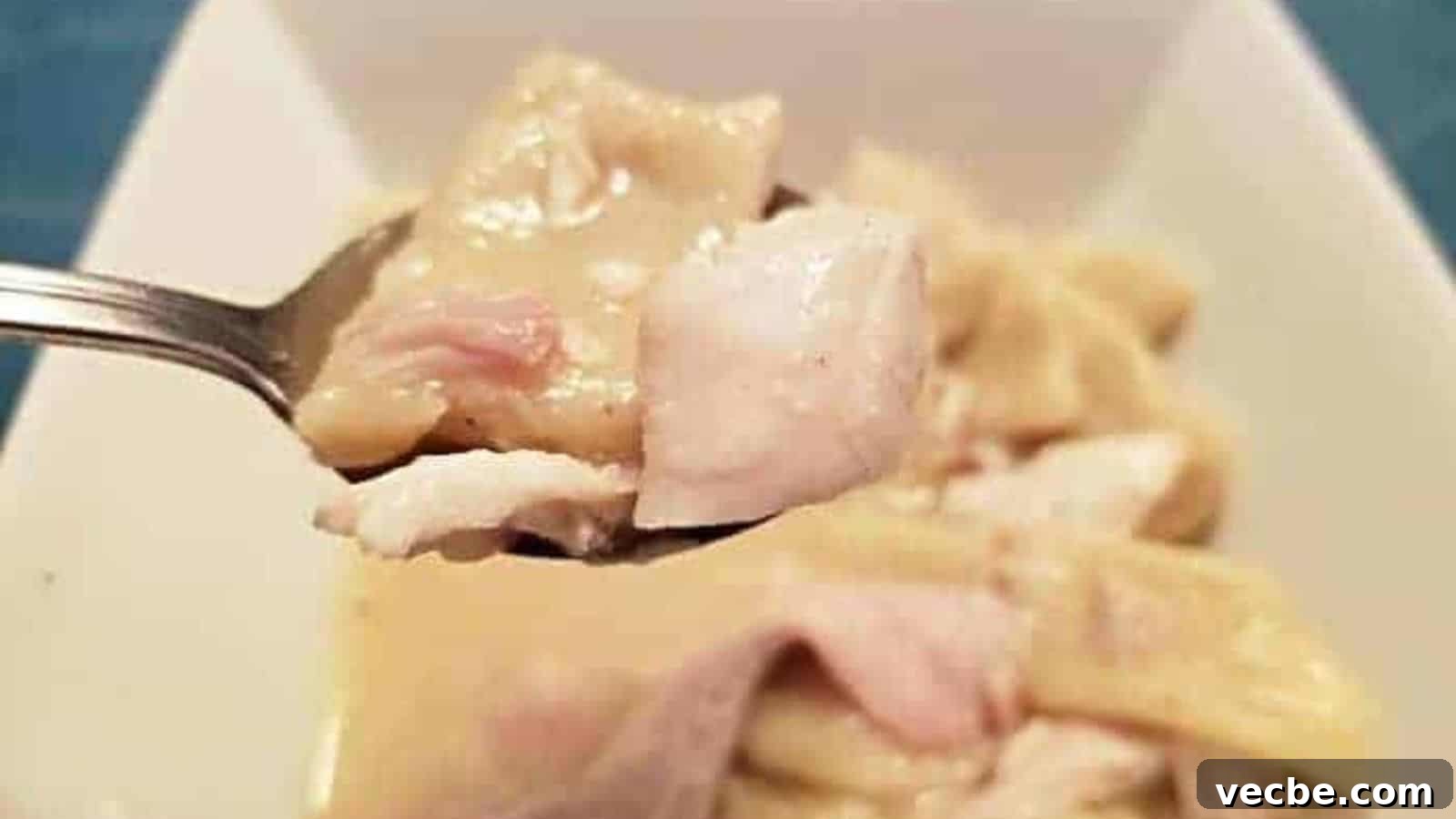 19 Budget-Friendly Meals to Replace Takeout 12 Image shows Chicken and dumplings on a spoon with more in the backgroumd.