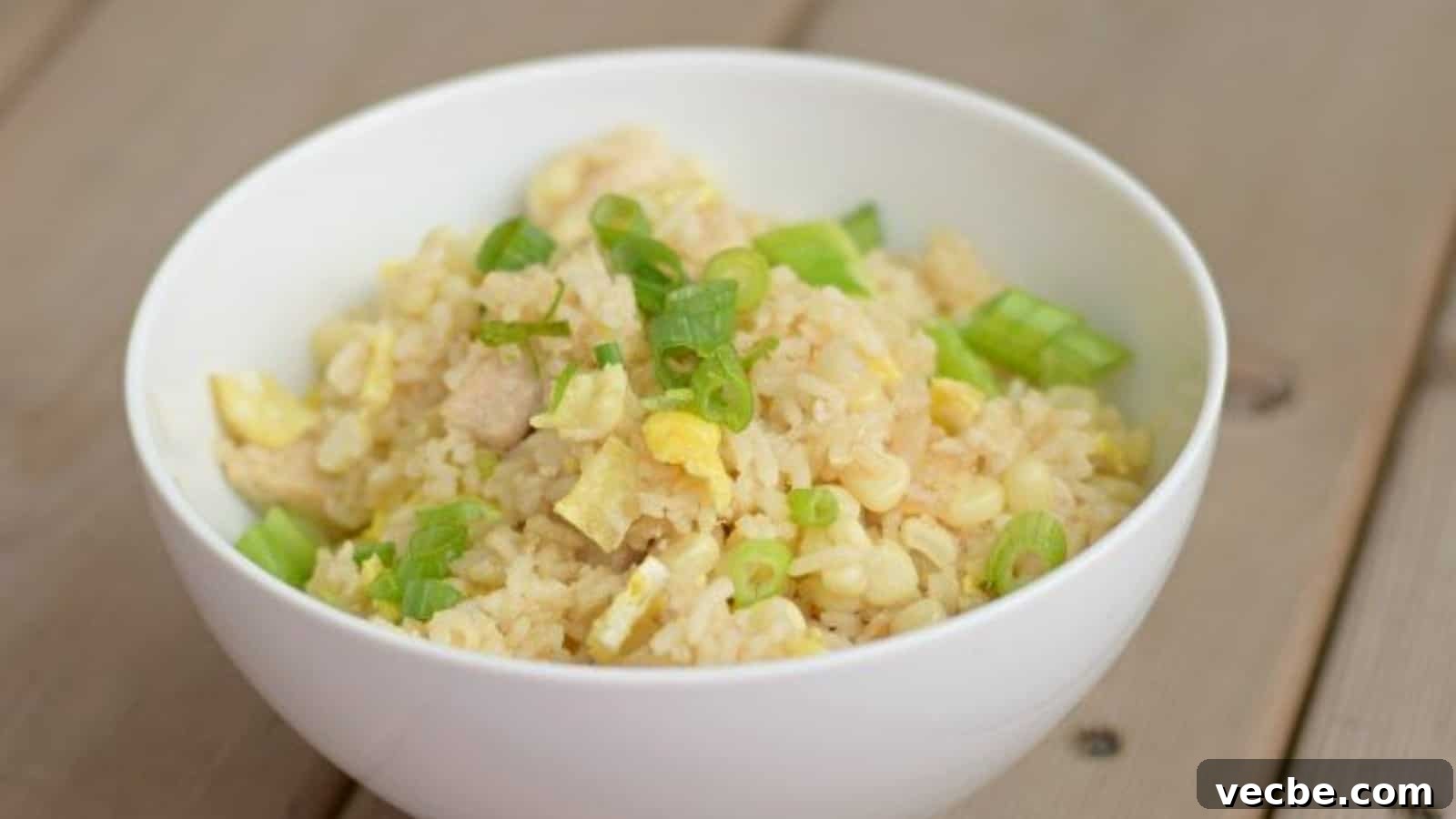 19 Budget-Friendly Meals to Replace Takeout 16 Images shows a white Bowl of chicken fried rice.