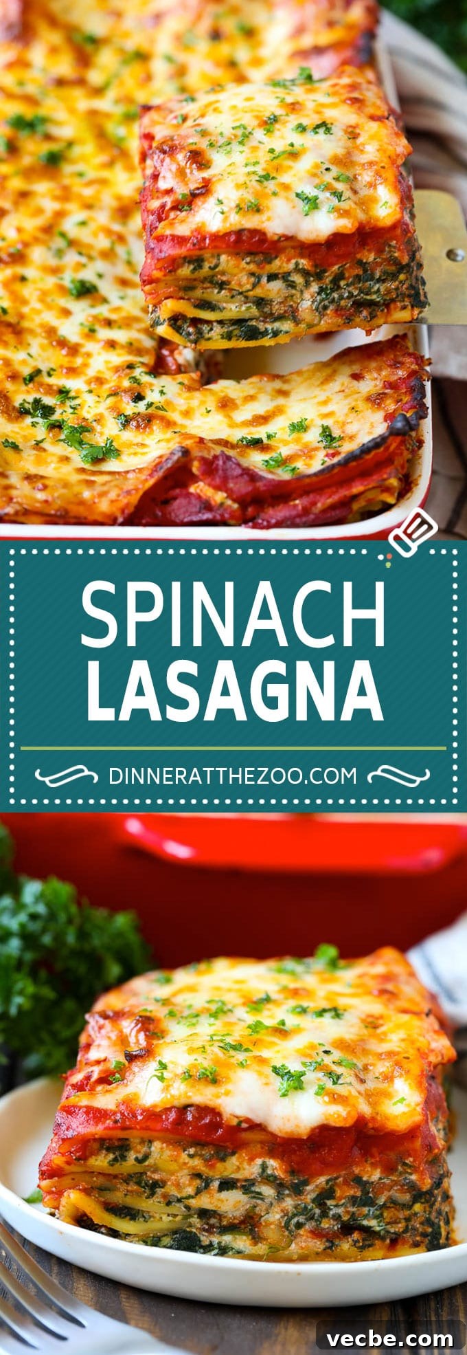 Spinach Lasagna Recipe | Vegetarian Lasagna #lasagna #spinach #cheese #pasta #italianfood #dinner #dinneratthezoo