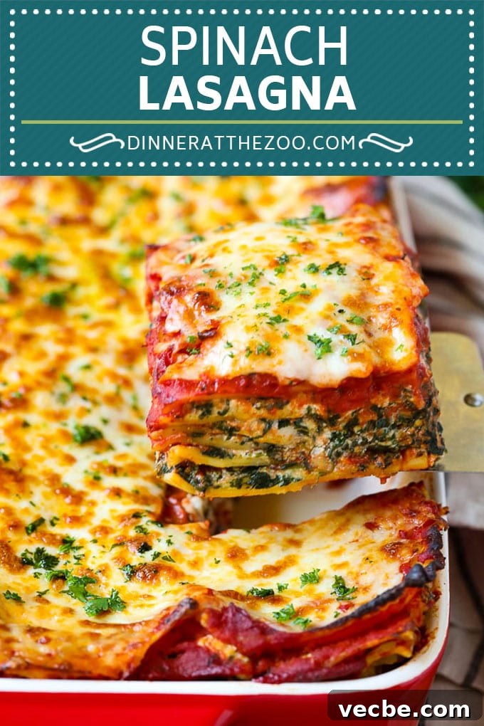 Spinach Lasagna Recipe | Vegetarian Lasagna #lasagna #spinach #cheese #pasta #italianfood #dinner #dinneratthezoo Spinach Lasagna Recipe | Vegetarian Lasagna #lasagna #spinach #cheese #pasta #italianfood #dinner #dinneratthezoo