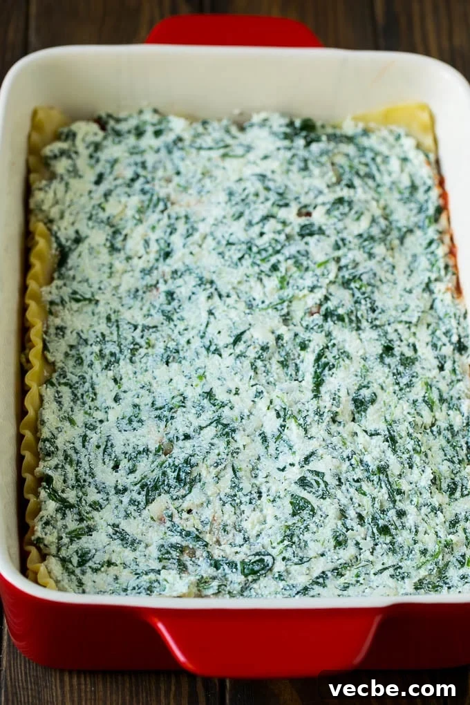 Spinach Lasagna Recipe | Vegetarian Lasagna #lasagna #spinach #cheese #pasta #italianfood #dinner #dinneratthezoo A spinach and cheese mixture spread over a layer of cooked noodles.