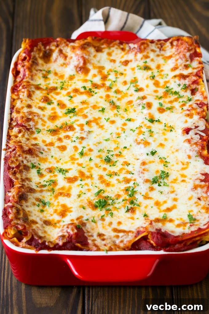 Spinach Lasagna Recipe | Vegetarian Lasagna #lasagna #spinach #cheese #pasta #italianfood #dinner #dinneratthezoo A baked lasagna topped with melted cheese and chopped parsley.