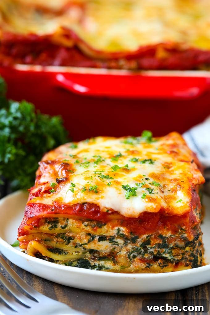 Spinach Lasagna Recipe | Vegetarian Lasagna #lasagna #spinach #cheese #pasta #italianfood #dinner #dinneratthezoo A piece of spinach lasagna on a plate, garnished with chopped parsley.