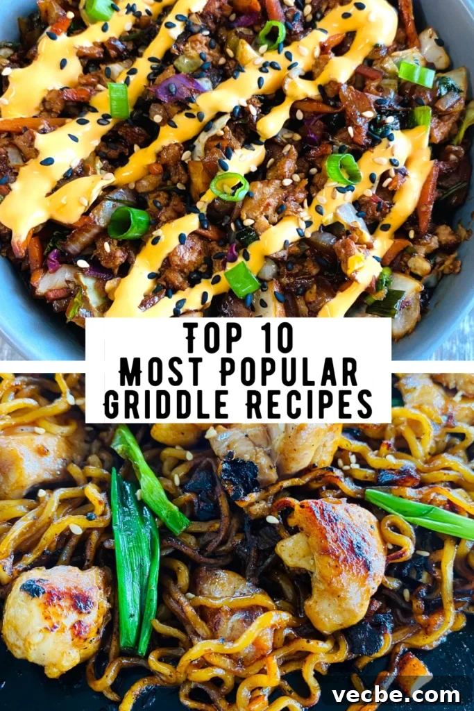 Blackstone Cajun Fried Rice Recipe 14 Top 10 Most Popular Griddle Recipes
