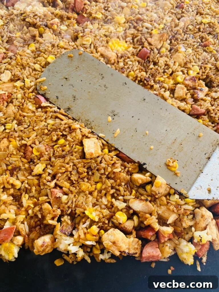Blackstone Cajun Fried Rice Recipe 7 Blackstone Cajun Fried Rice