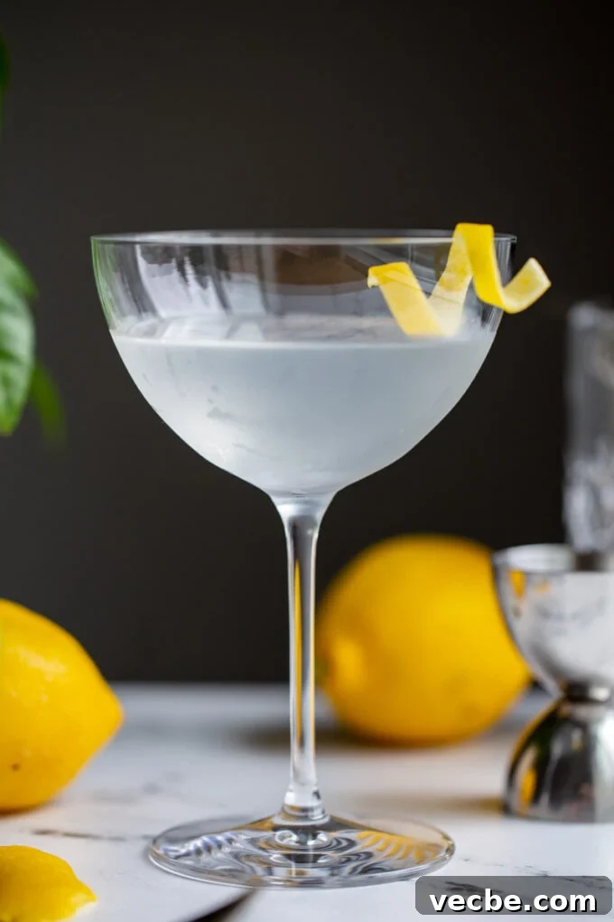 Foods That Start With D: Dishes, Fruits & Ingredients 3 vesper cocktail in a cocktail glass with a lemon twist on the side