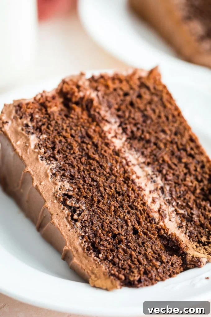 Foods That Start With D: Dishes, Fruits & Ingredients 4 chocolate cake slice