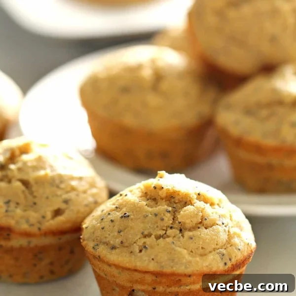 Healthy Greek Yogurt Lemon Poppy Seed Muffins