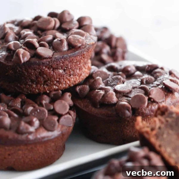 Chocolate Banana Blender Muffins Recipe