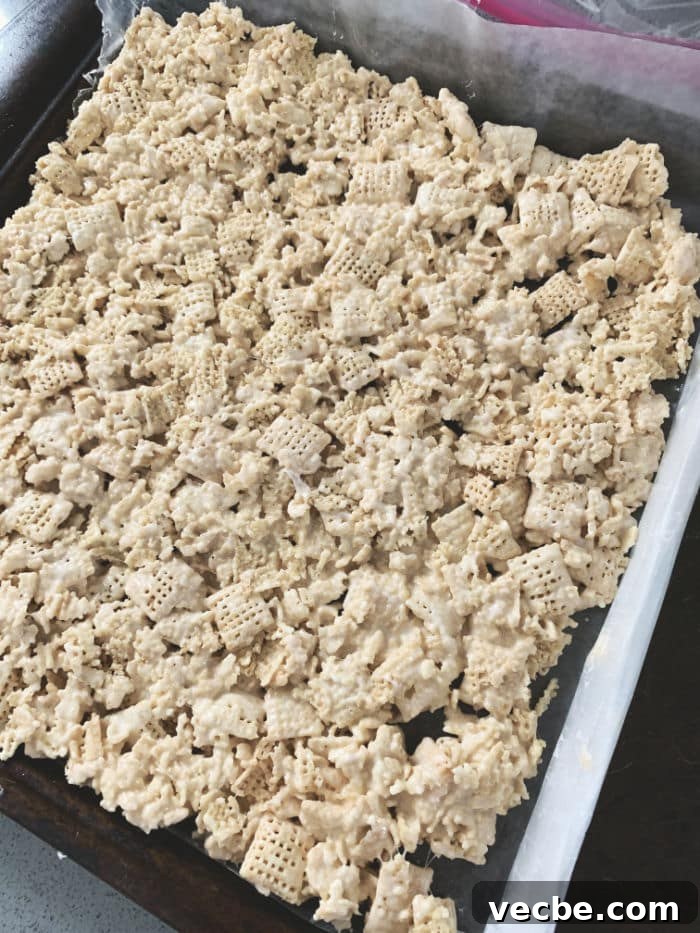 St. Patrick's Day Crispy Rice Treats 4 leprechaun hat bar pressed