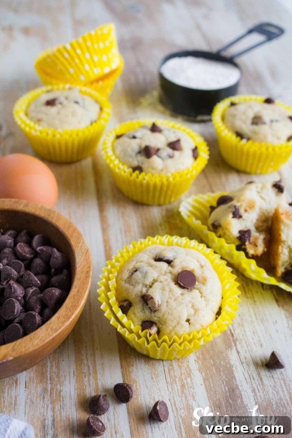 Pumpkin Cake Mix Muffins Recipe 9 banana chocolate chip muffins