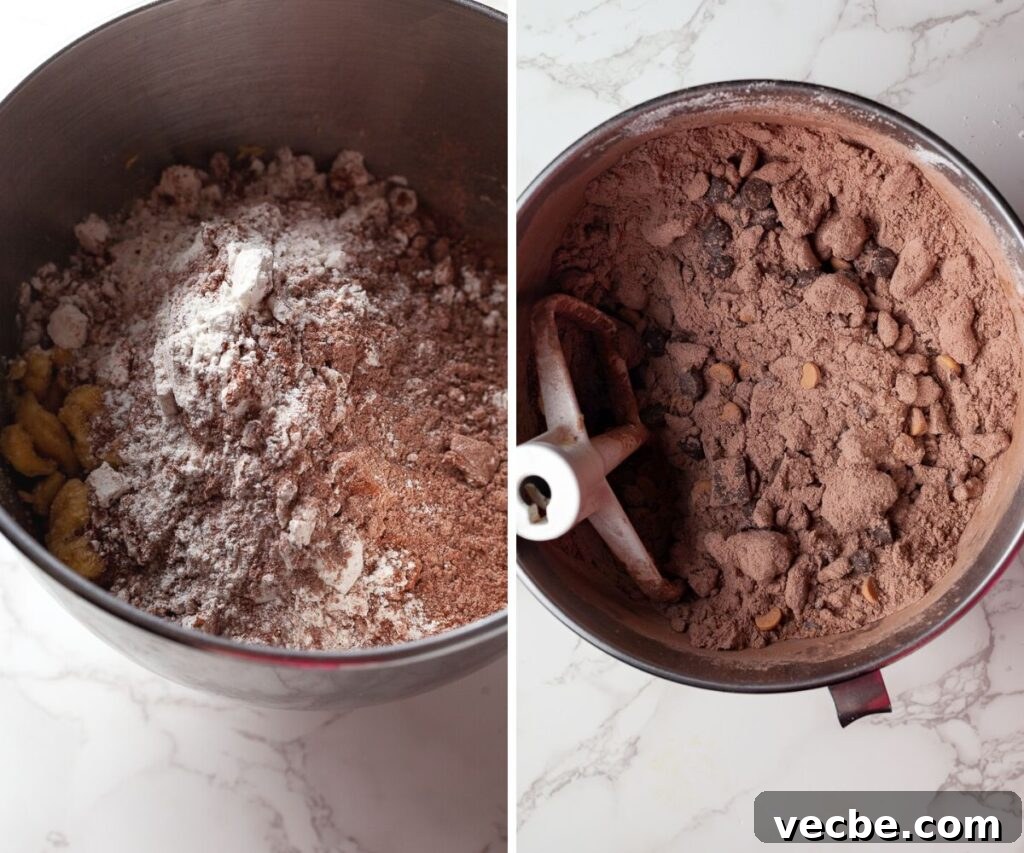 Gluten-Free Levain-Style Double Chocolate Chip Cookies Recipe 5 img 2776 4