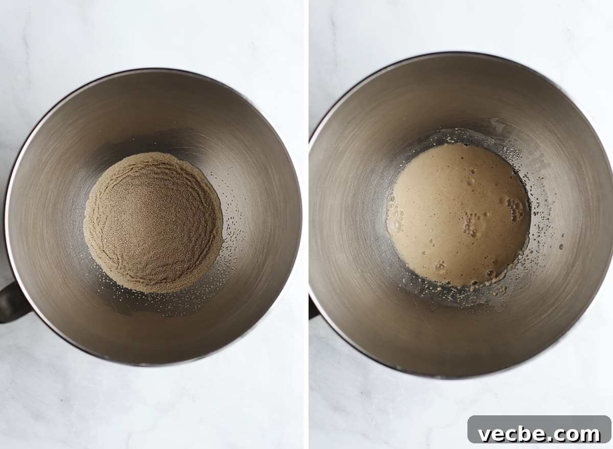 Proofing yeast for homemade hamburger buns. two photos showing How to Make Homemade Hamburger Buns