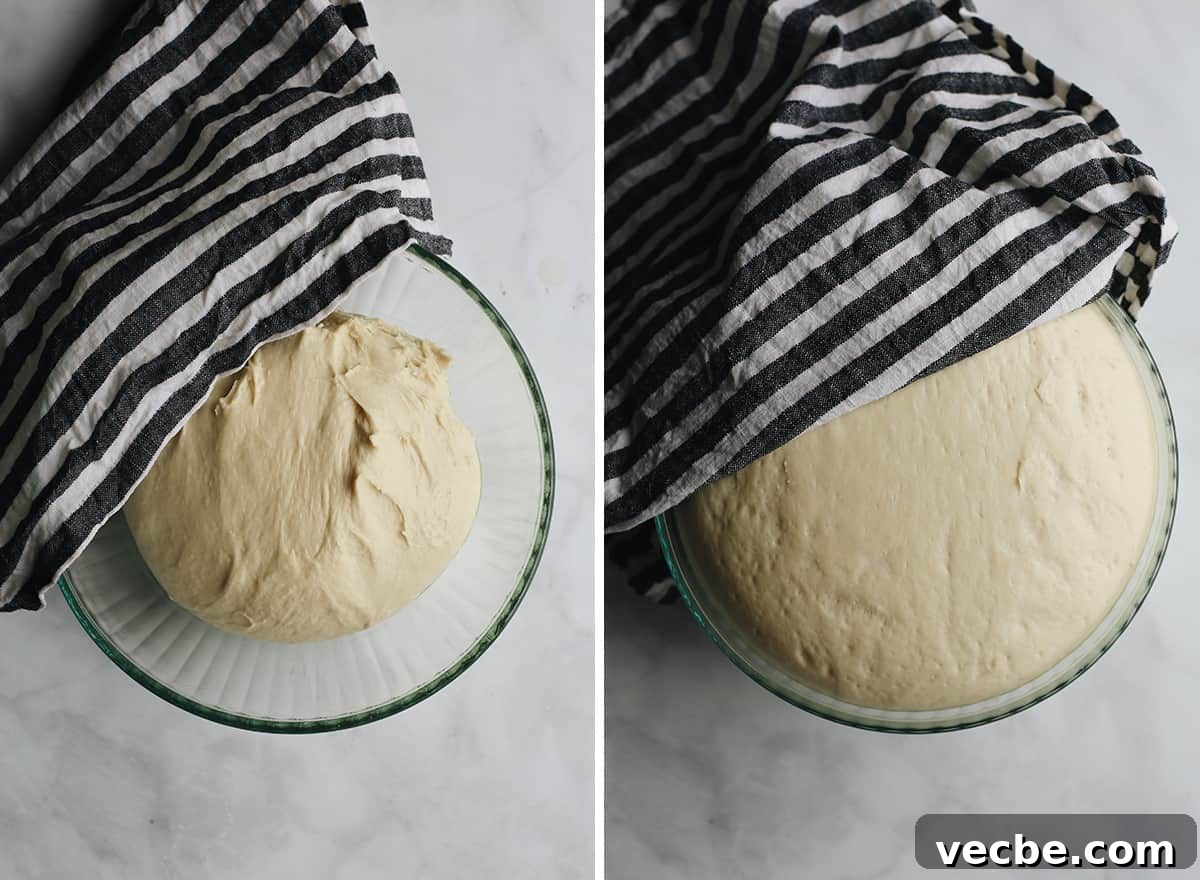 Risen dough for homemade hamburger buns. two photos showing How to Make Homemade Hamburger Buns