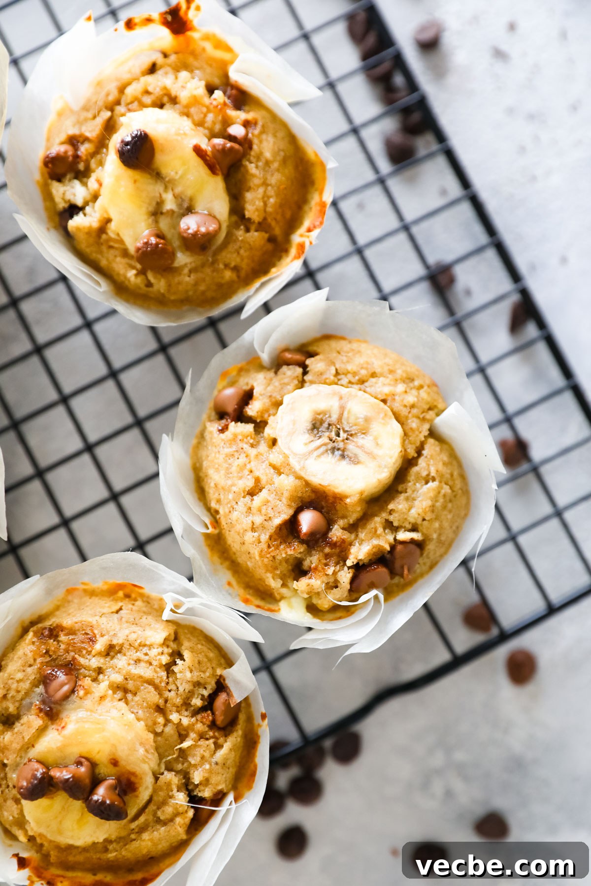 Moist Banana Oatmeal Muffins Recipe with Cinnamon 7 banana oatmeal muffins overhead shot