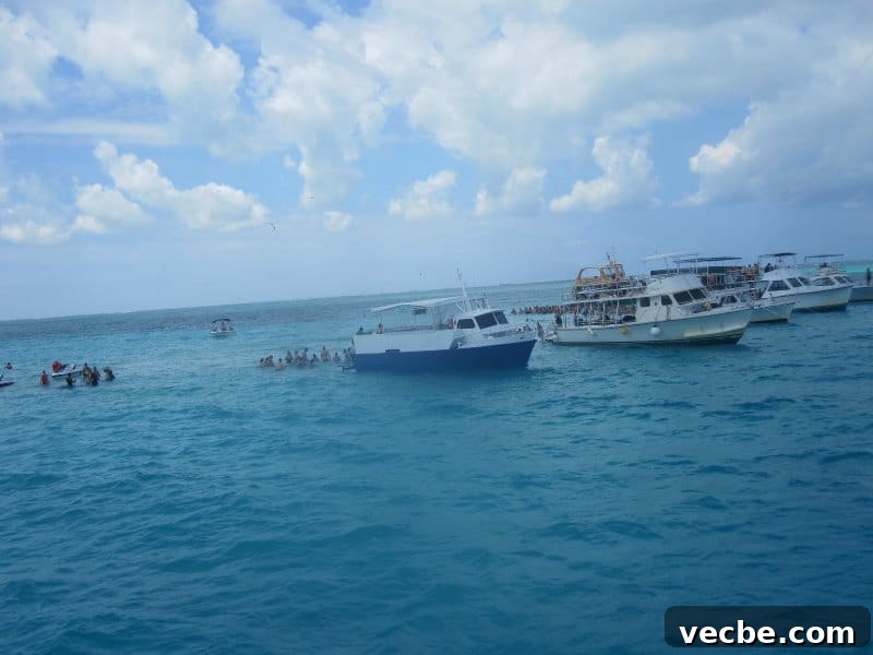 Grand Cayman Stingray City Tour and Excursion 4 Boats lined up at Stingray city with people in the water