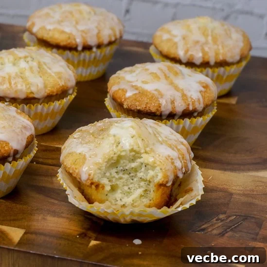 Zesty Lemon Poppy Seed Muffins Recipe 6 Lemon Poppy Seed Muffins
