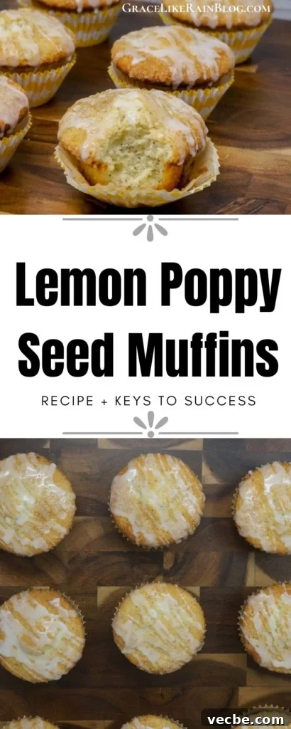 Zesty Lemon Poppy Seed Muffins Recipe 7 Lemon Poppy Seed Muffins