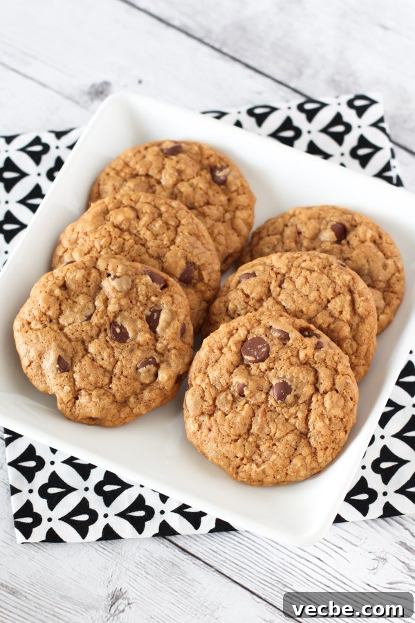 Gluten Free Vegan Soft Chocolate Chip Cookies. You can't eat just one!
