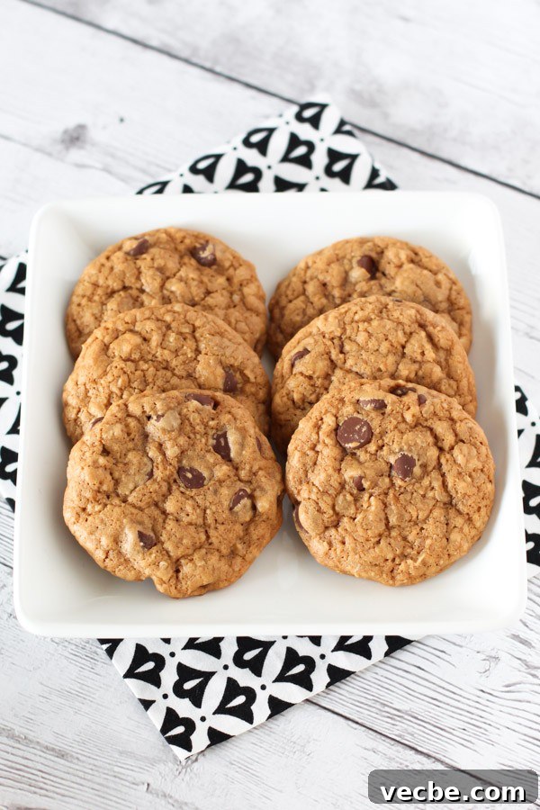 Soft Gluten Free Vegan Chocolate Chip Cookies 3 Gluten Free Vegan Soft Chocolate Chip Cookies. You can't eat just one!
