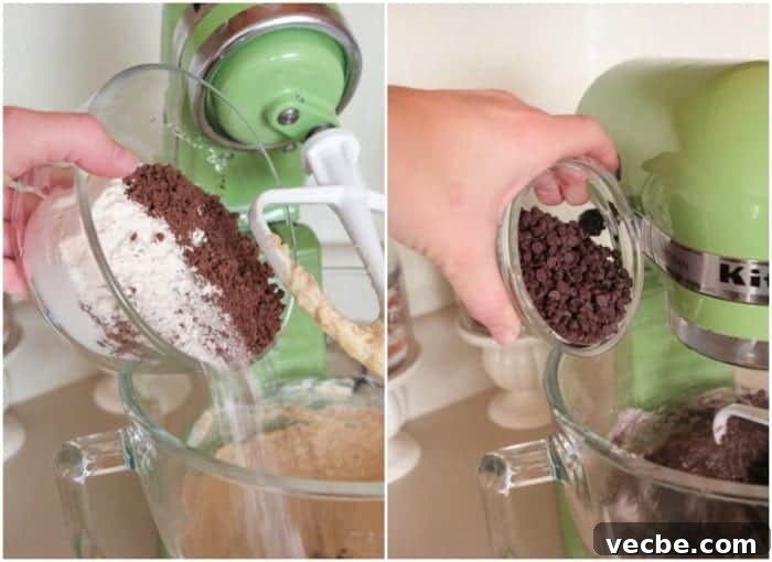 Peppermint Chocolate Crunch Cookies with Candy Cane Bits 5 Chocolate Cookies Recipe