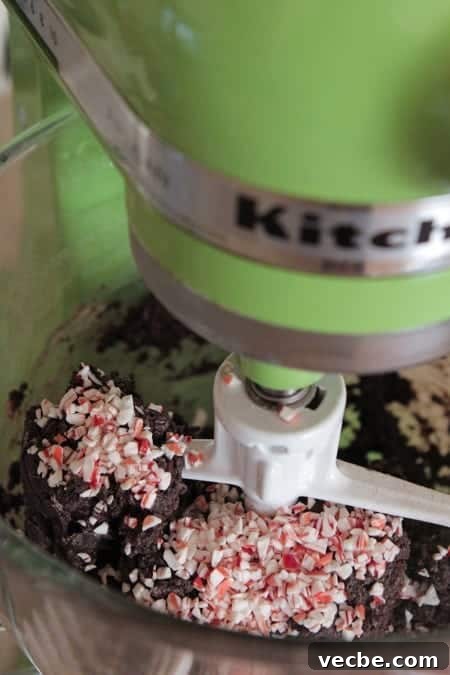 Peppermint Chocolate Crunch Cookies with Candy Cane Bits 6 Chocolate Candy Cane Crunch Cookies