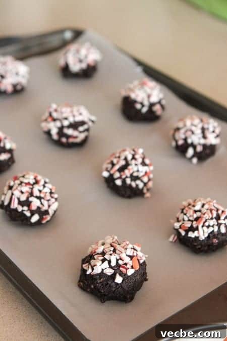 Peppermint Chocolate Crunch Cookies with Candy Cane Bits 7 Chocolate Cookies Recipe