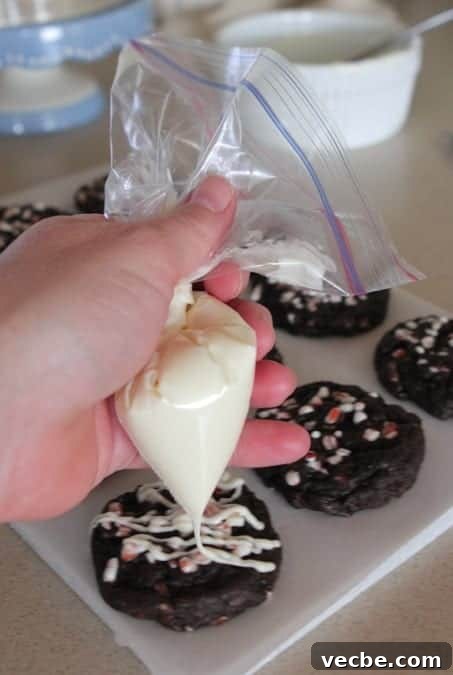 Peppermint Chocolate Crunch Cookies with Candy Cane Bits 8 Chocolate Cookies Recipe